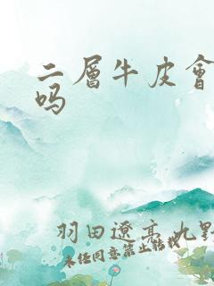 二层牛皮会掉皮吗