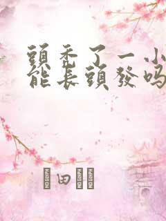 头秃了一小块还能长头发吗