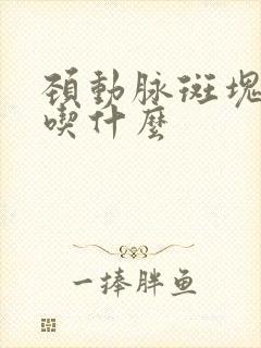 颈动脉斑块注意吃什么