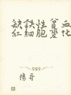 缺铁性贫血网织红细胞变化