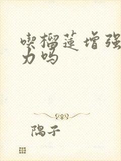 吃榴莲增强抵抗力吗