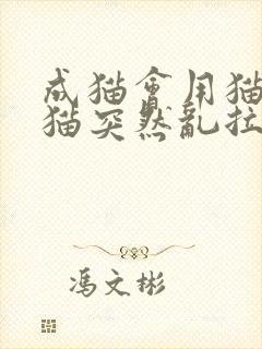 成猫会用猫砂的猫突然乱拉屎