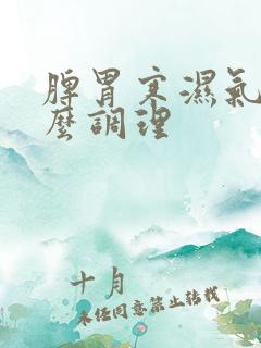 脾胃寒湿气重怎么调理