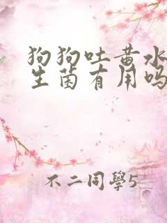 狗狗吐黄水吃益生菌有用吗