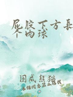 屁股下方长了一个肉球