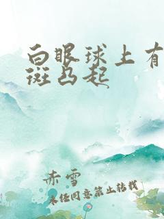 白眼球上有块黄斑凸起