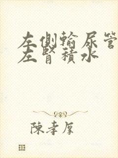 左侧输尿管结石左肾积水