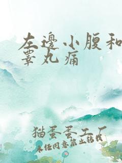 左边小腹和左边睾丸痛