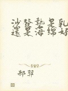 沙发垫是乳胶好还是海绵好