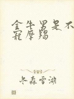 金牛男是不是很宠摩羯