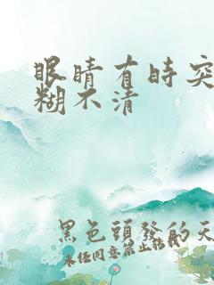 眼睛有时突然模糊不清