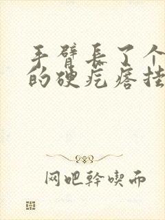 手臂长了个凸起的硬疙瘩挂什么科