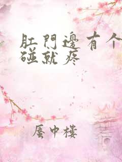 肛门边有个包一碰就疼