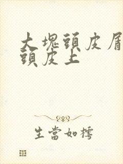 大块头皮屑粘在头皮上