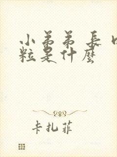 小弟弟 长 肉粒是什么