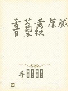 舌苔黄厚腻中间有裂纹