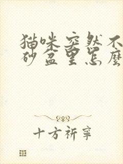 猫咪突然不尿猫砂盆里怎么办