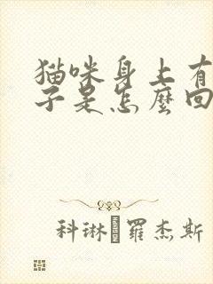 猫咪身上有小虫子是怎么回事