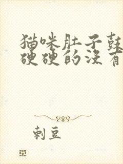 猫咪肚子鼓鼓的硬硬的没有精神