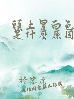 头上冒白色的痘是什么原因