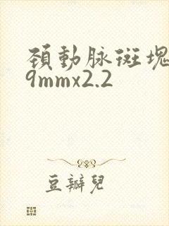 颈动脉斑块9.9mmx2.2