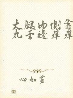 大腿内侧靠近睾丸旁边痒痒越抓越痒起疙瘩