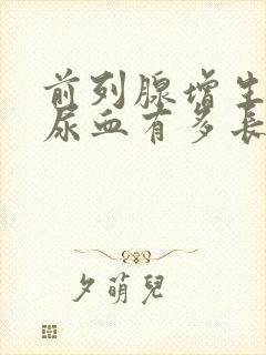 前列腺增生术后尿血有多长时间