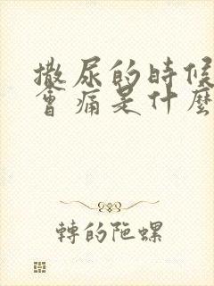 撒尿的时候尿道会痛是什么原因