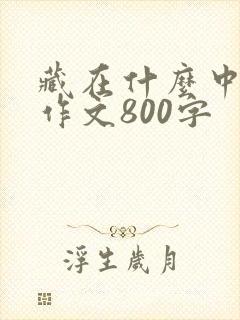 藏在什么中的美作文800字