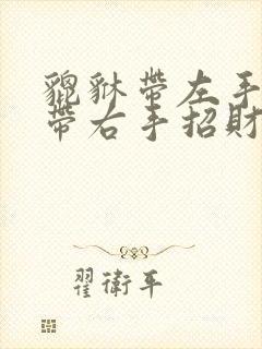 貔貅带左手还是带右手招财