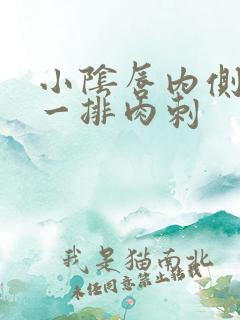 小阴唇内侧长了一排肉刺