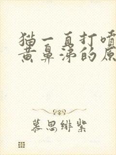 猫一直打喷嚏流黄鼻涕的原因