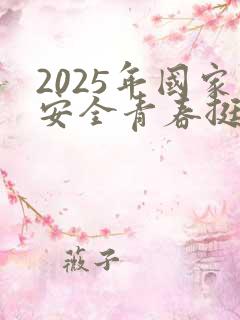 2025年国家安全青春挺膺