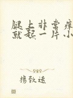 腿上非常痒一抓就起一片小疙瘩