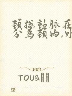 颈总动脉在哪里分为颈内,外动脉