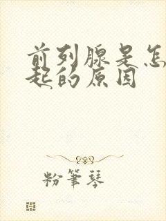 前列腺是怎么引起的原因