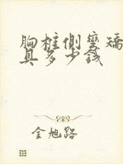 胸椎侧弯矫正支具多少钱