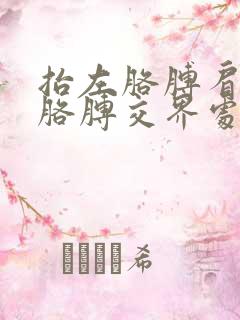 抬左胳膊肩膀与胳膊交界处疼