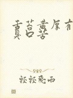 舌苔黄厚有点口臭口苦