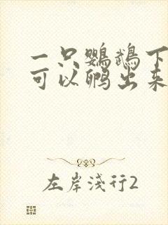 一只鹦鹉下的蛋可以孵出来吗