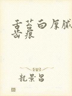 舌苔白厚腻 有齿痕