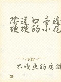 阴道口旁边有个硬硬的小疙瘩 怎么回事