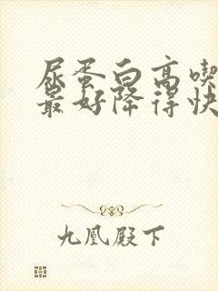 尿蛋白高吃什么最好降得快