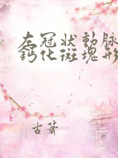 左冠状动脉管壁钙化斑块形成是什么意思