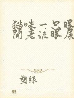 猫咪一只眼睁不开老流眼屎