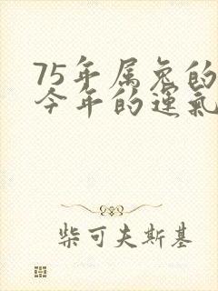 75年属兔的人今年的运气怎么样