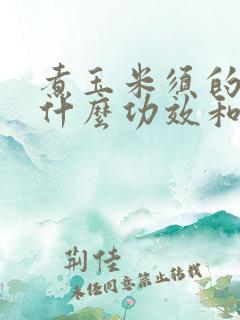 煮玉米须的水有什么功效和作用