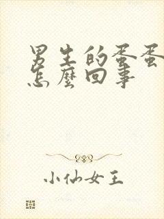 男生的蛋蛋疼是怎么回事