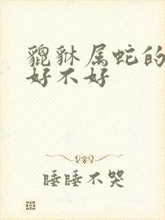 貔貅属蛇的人带好不好