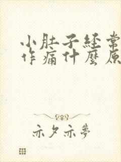 小肚子经常隐隐作痛什么原因